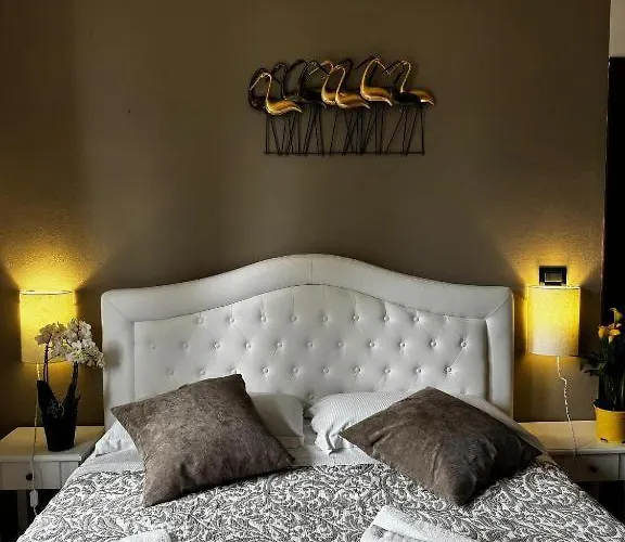 & Pool & Wellness Pool * Pai