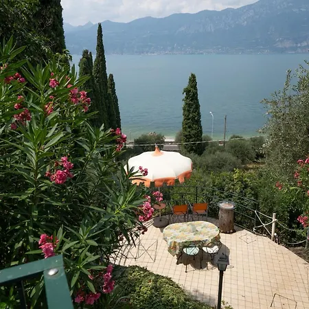 & Pool & Wellness Pool