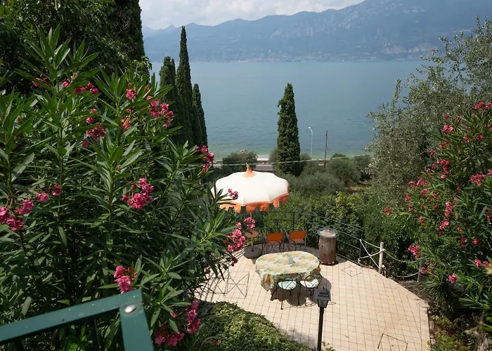 & Pool & Wellness Pool